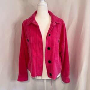 Zara Pink Cropped Distressed Jacket
